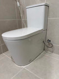 Rimless Tornado Turbo Flush Close-Coupld Smart Toilet with Auto Open Bidet Seat | Blushtaps