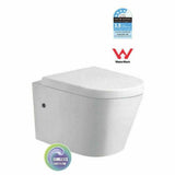 In Wall Hung Concealed Cistern Toilet matte white Pan rimless s/s steel buttons