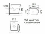 In Wall Hung Concealed Cistern Toilet matte white Pan rimless s/s steel buttons