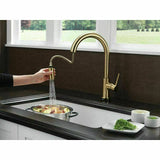 Brass Gold solid stainless steel kitchen mixer pull out spray function NO LEAD