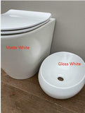 RIMLESS floor mount TOILET pan soft close slim seat colored s/s metal buttons