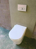 RIMLESS floor mount TOILET pan soft close slim seat colored s/s metal buttons