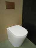 RIMLESS floor mount TOILET pan soft close slim seat colored s/s metal buttons