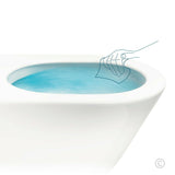 RIMLESS FLUSHING WALL hung TOILET pan soft close seat colored s/s metal buttons