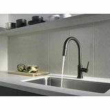 2023 Brushed Gunmetal pull out with spray function spring kitchen mixer tap faucet Stainless steel Made PVD plated