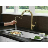 2023 Brushed Brass Gold pull out with spray function spring kitchen mixer tap faucet Stainless steel Made PVD plated