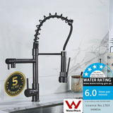 2023 Matte Black pull out with spray function spring kitchen mixer tap faucet Dual outlets
